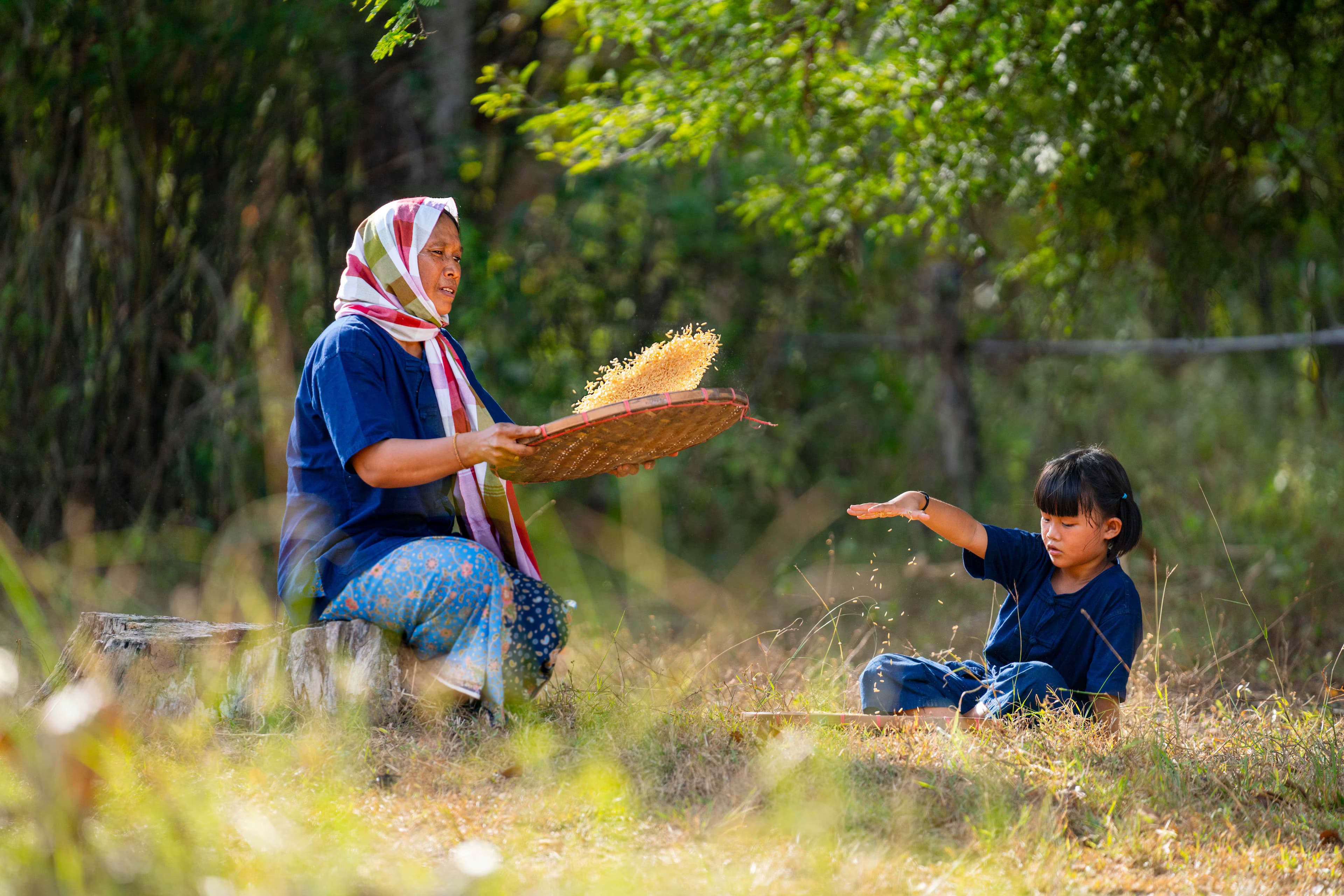 Woman winnowing grain with a child in a rural setting